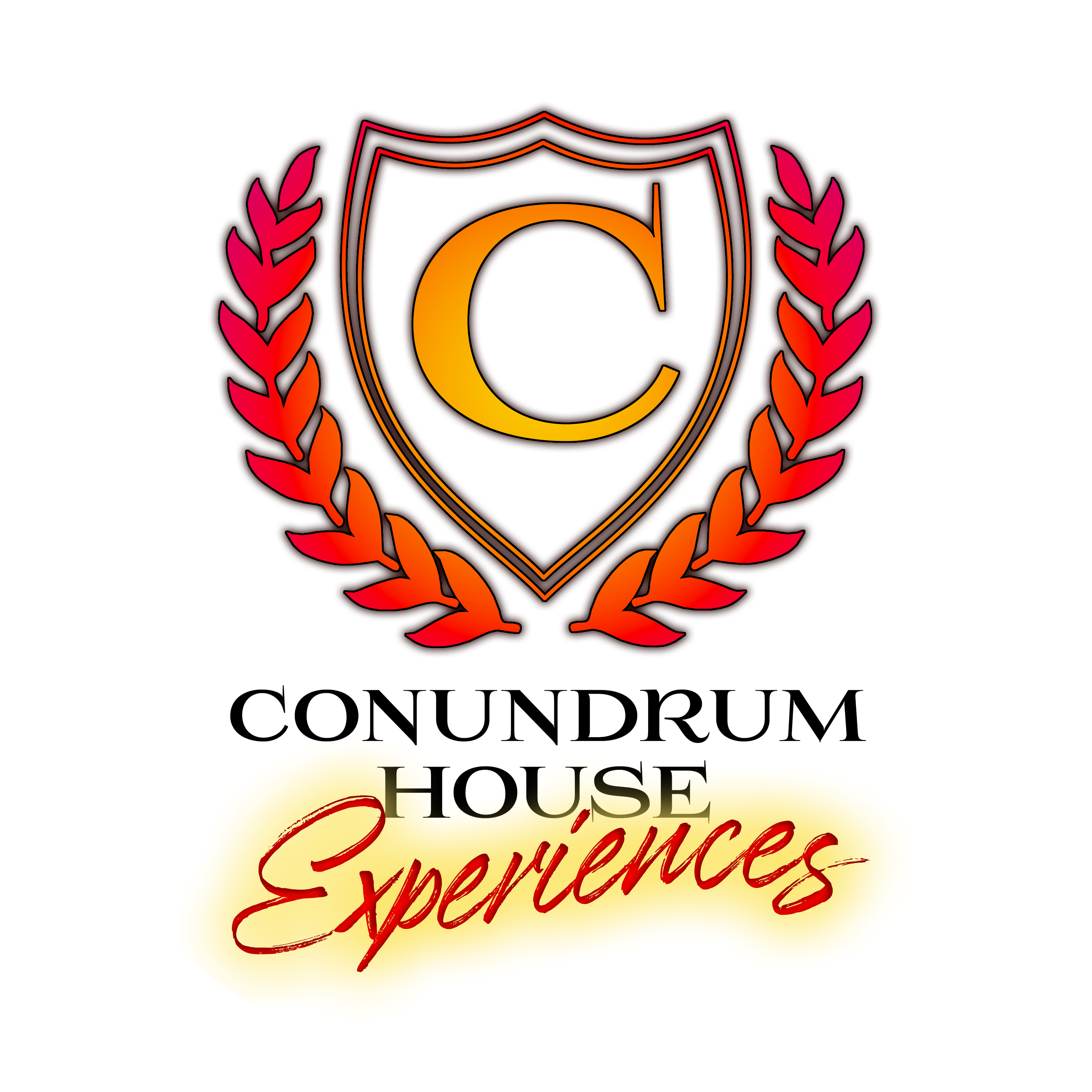 Conundrum House Experiences