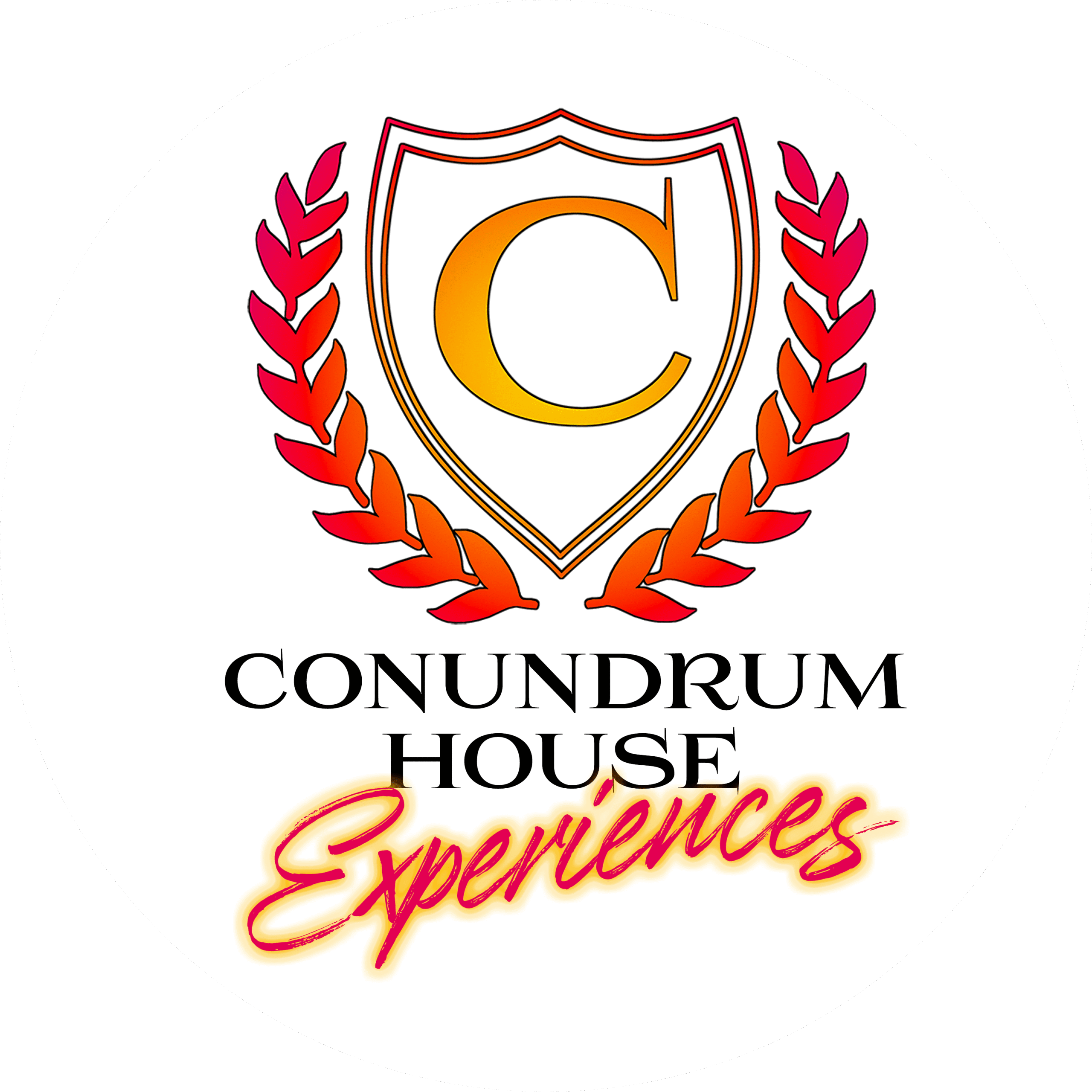 Conundrum House Experiences
